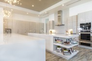 Central-Kitchen-Bath-Waterloop4